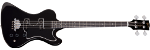 Krist Novoselic Signature RD� Bass - Ebony